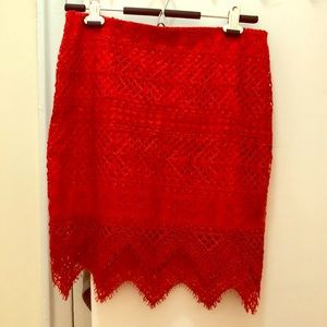 Brand New Banana Republic Lace Skirt
